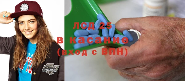 прущие грибы Переславль-Залесский