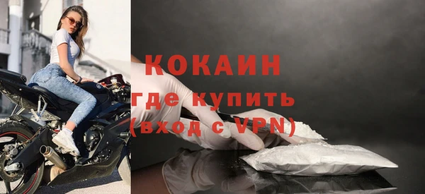 прущие грибы Переславль-Залесский