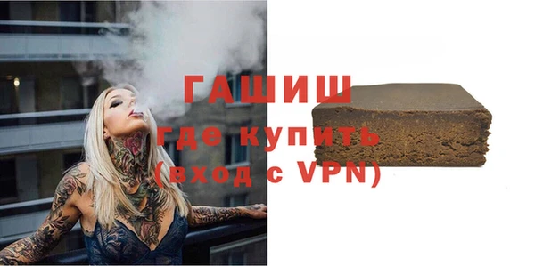 стаф Осинники
