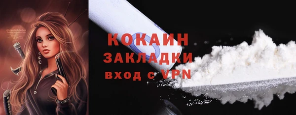 стаф Осинники