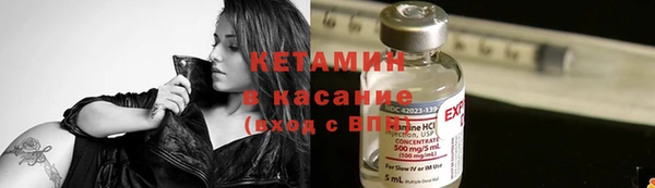 стаф Осинники