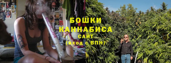 прущие грибы Переславль-Залесский