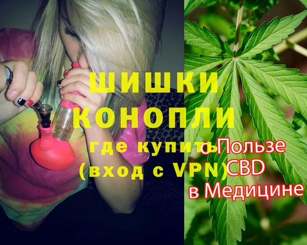 прущие грибы Переславль-Залесский