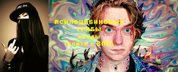 mix Пересвет