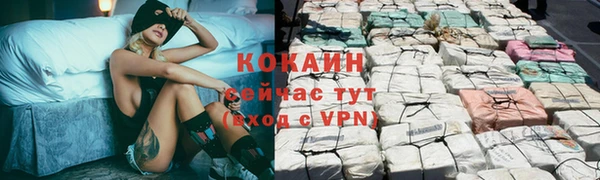 стаф Осинники