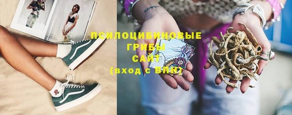 mix Пересвет