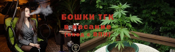 стаф Осинники