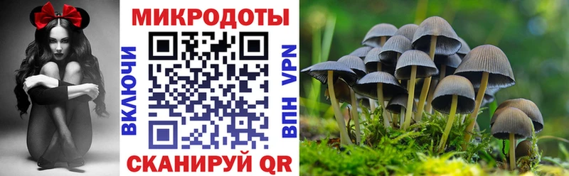 Псилоцибиновые грибы Psilocybine cubensis  цены наркотик  ссылка на мегу сайт  Фокино 